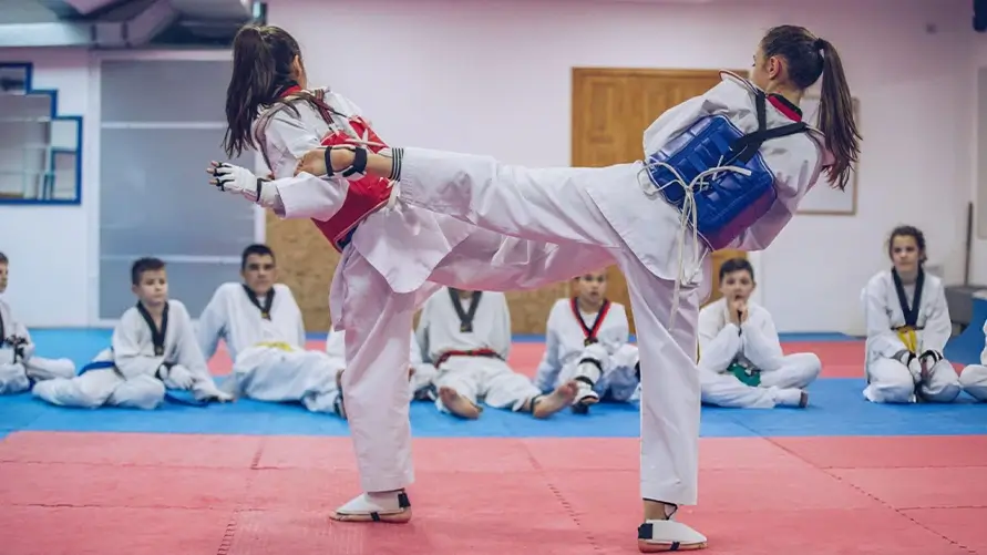 Top karate dojo management software feature you must have