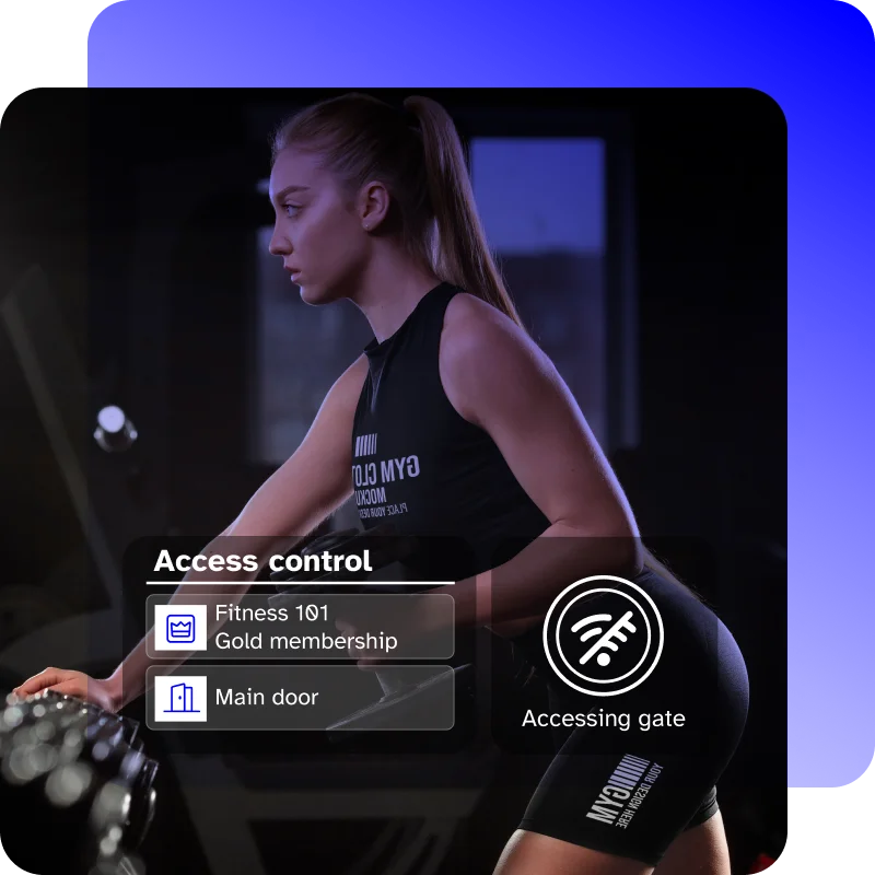 Remote access - offline access mode