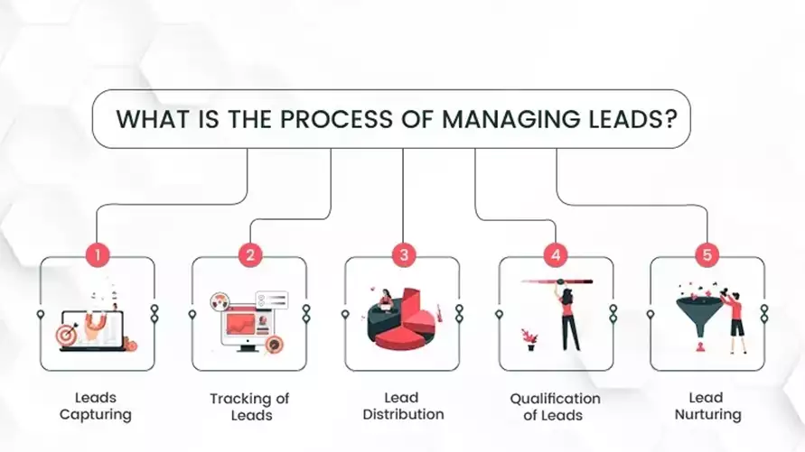 What is the process of managing leads
