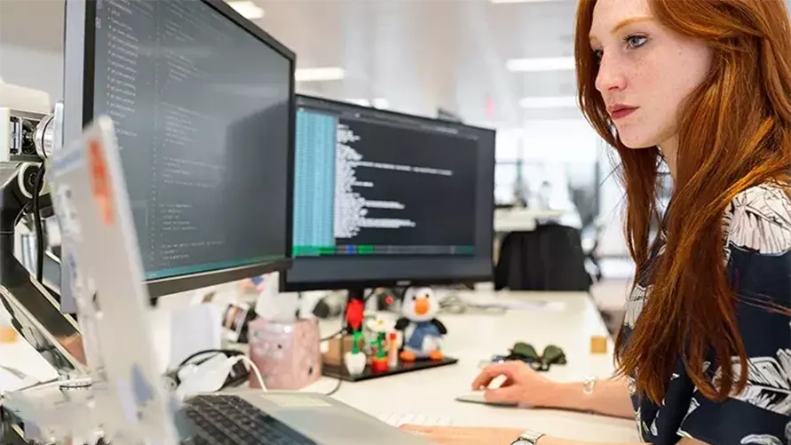 Why it is important to have software for business