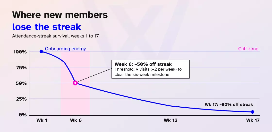 Gym member attendance patterns