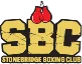 StoneBridge logo